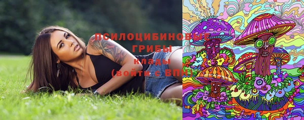 прущие грибы Алзамай
