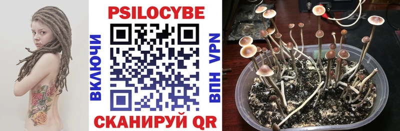 Псилоцибиновые грибы мухоморы  купить  сайты  OMG рабочий сайт  Кировград 